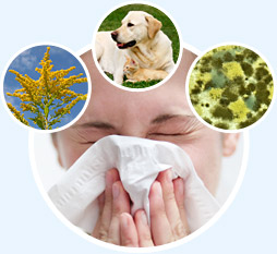 Φαρμακείο Μενεξιάδη-Μάθετε περισσότερα για την Αλλεργία